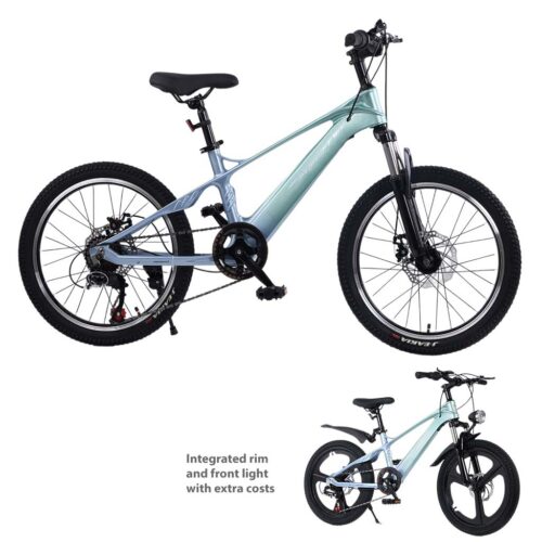 Kid's Bicycle No.:221T06-20