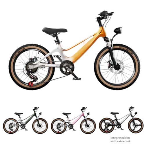 Kid's Bicycle No.:221T07-20