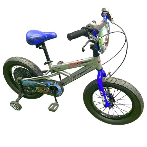 Kid's Bike No.: SKY-12