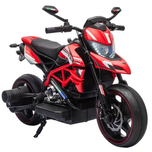 Electric Dirt Bike (090T17)