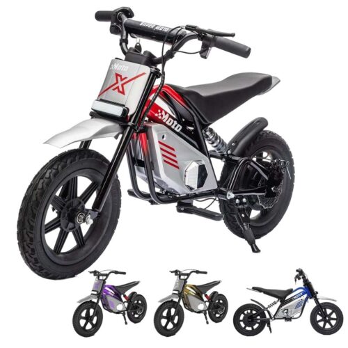 Electric Dirt Bike (090T19)