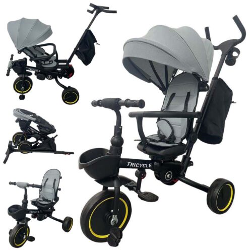 4-in-1 Stroller & Trike (206T10)