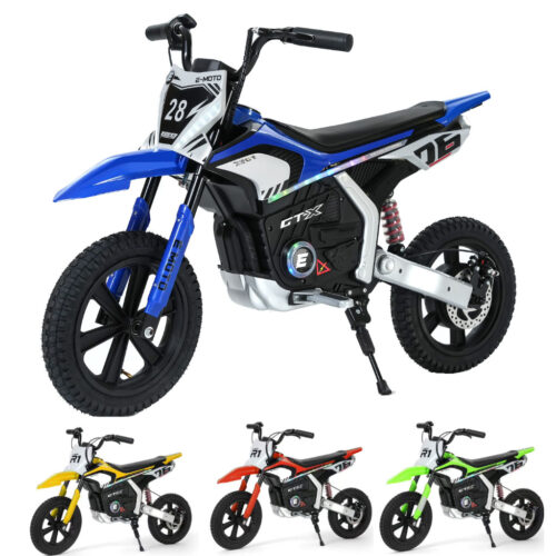 Electric Dirt Bike (139T15)