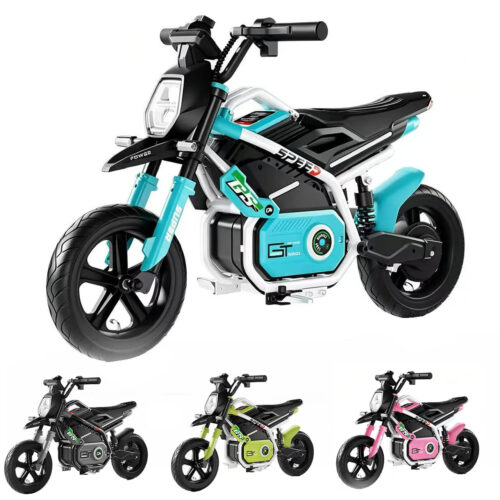 Electric Dirt Bike (461T01)