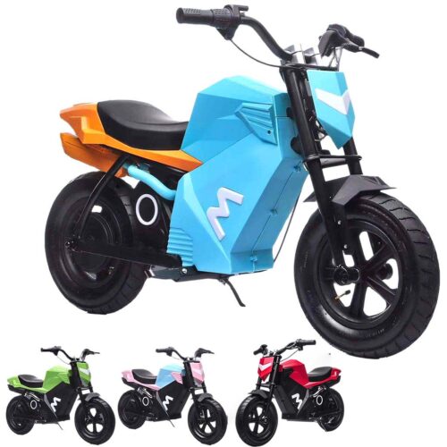 Electric Dirt Bike (333T09)