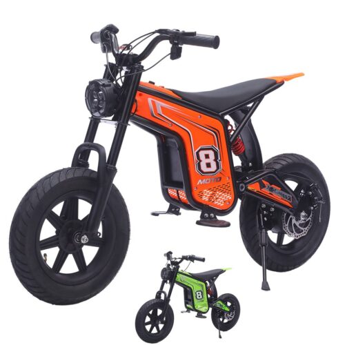 Electric Dirt Bike (149T06)