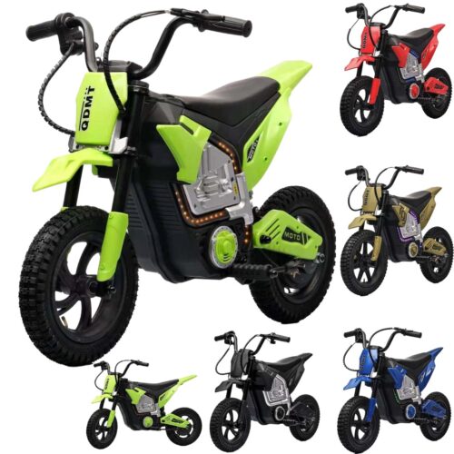 Electric Dirt Bike (143T17)