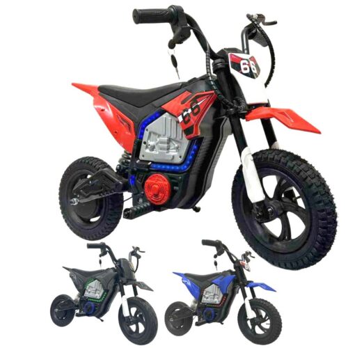 Electric Dirt Bike (205T07)