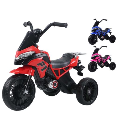 Kids & Toddler Tricycle (109T91)